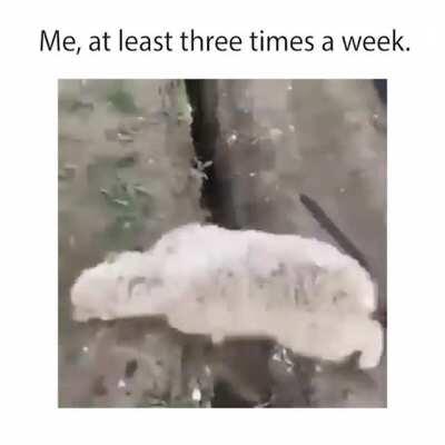 Ever feel like you're in a rut and just can's get out...