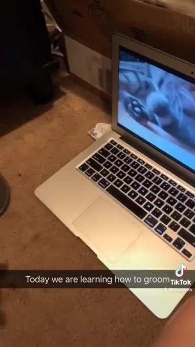 Winnie learns to clean herself ❤️