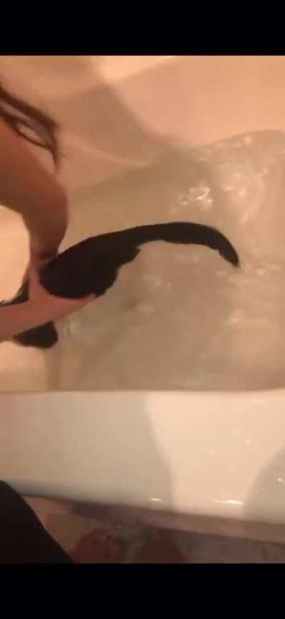 Girl gets destroyed by cat