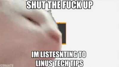 linus tech tips do be kinda boppin doe 😳😳