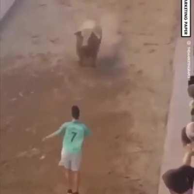 standing in front of a charging bull