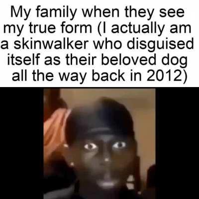 They were dumbfounded in their final moments