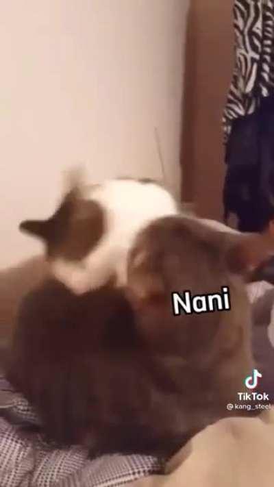 Interesting 😏👍