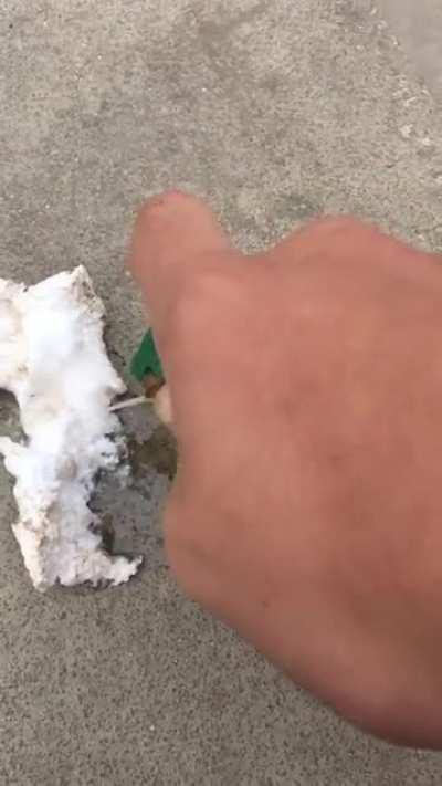 ainda bem que a gente não é feito de isopor né muquinha ?