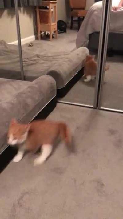 spooky smoll mirror boy