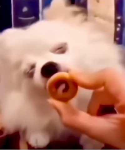 Leaked Video: Behind the scenes look of criand making the original DRS DD