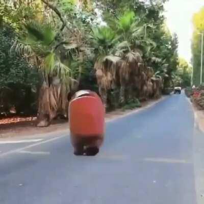 Amogus in real life!!!!😳😲😲💯💯 (Gone SEXUAL????😱😱)