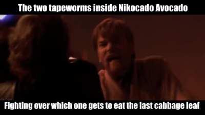 the last fiber to enter nick's body