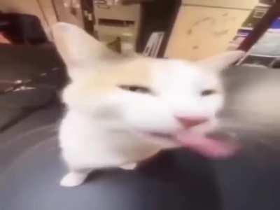 This is no wunking matter