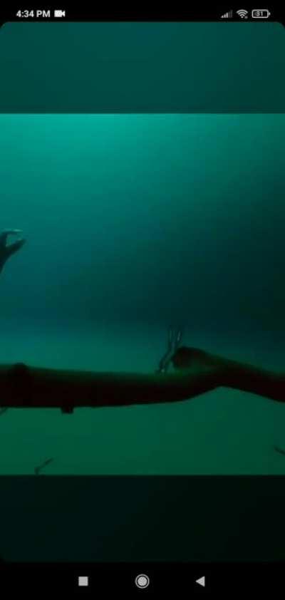 Exactly the stuff you guys want! Right?