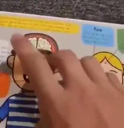 Spermbians dont think so no need for brains