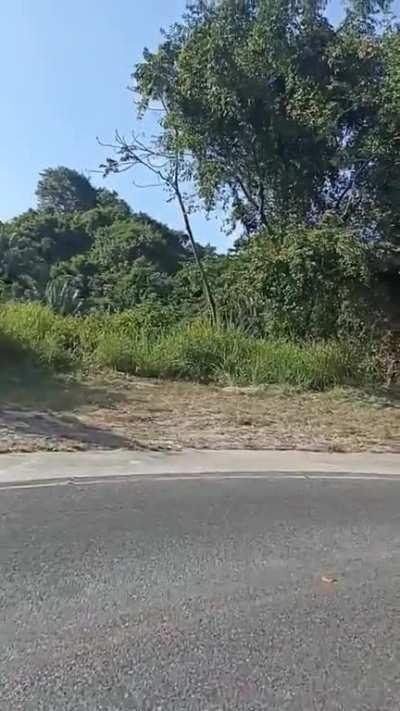 WCGW at not having breaks in your bike