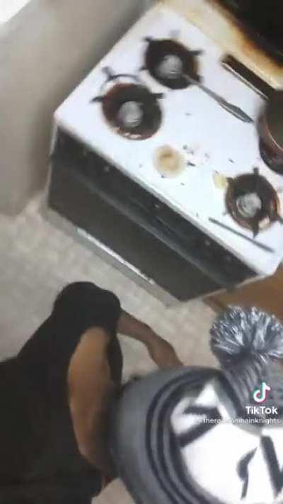 My pov when doing my rotation of full 5 star team in Spunky Abyss