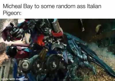 Did the pigeon blow up tho?