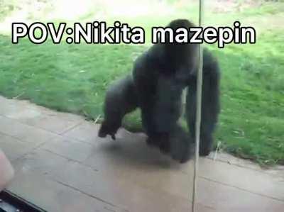 Formula one in a nutshell