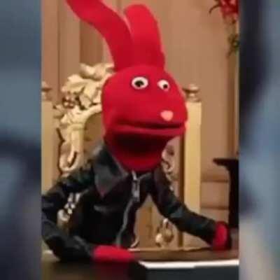 No bodoque :'( pd: Mati no estes triste tqm <3