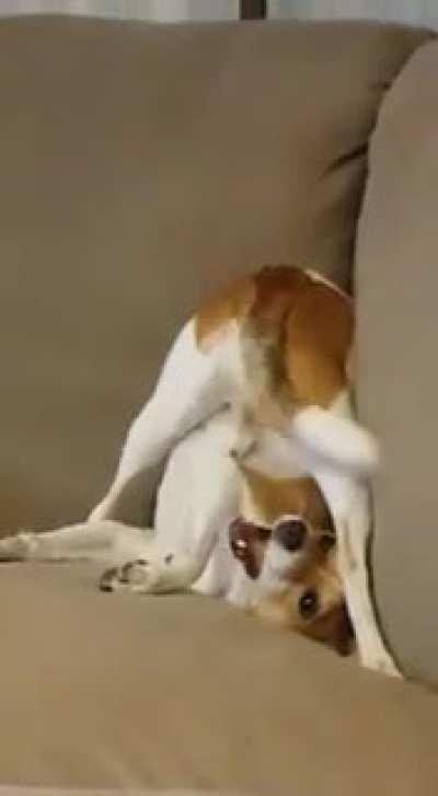 Когда удалил ребро