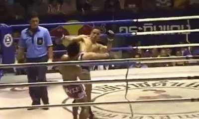 Lerdsila, The man with arguably the quickest reflexes in fighting retired this week (190 wins 32 losses)