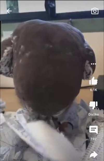 Document shredding model.