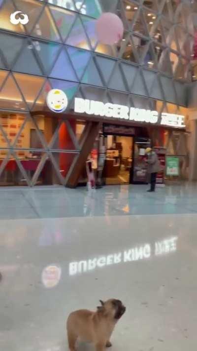 This is what true happiness looks like