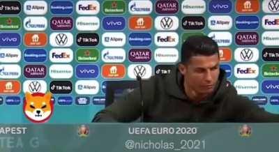 All About The $SHIBA 💎🐕💎