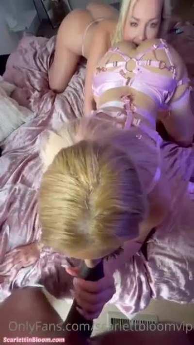 🚨FREE EXCLUSIVE🚨