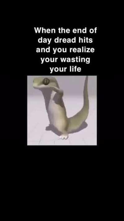 Kinda dumb but it made me laugh