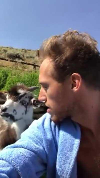 Назойливый