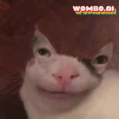 Oh God, what have I done?!