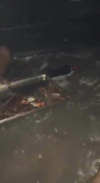 When you misjudged the Waves