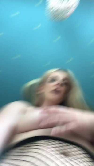 Frisky in fishnets…