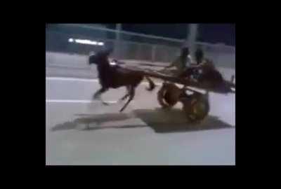 When you see it, you will shit.