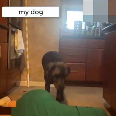 I am dead, stepdoggy