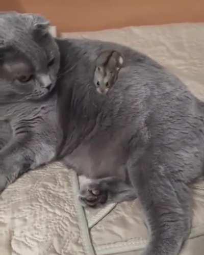 Haven't seen anything like this.