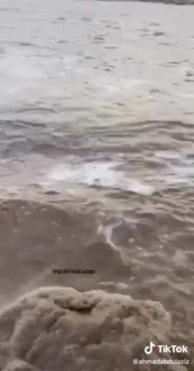 The cup just drowned