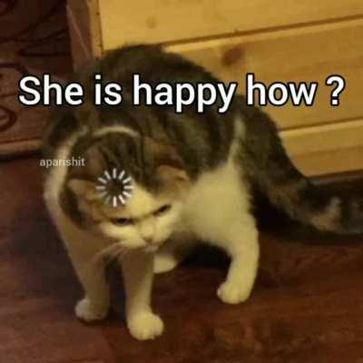 Absolute Banger. [NOC]