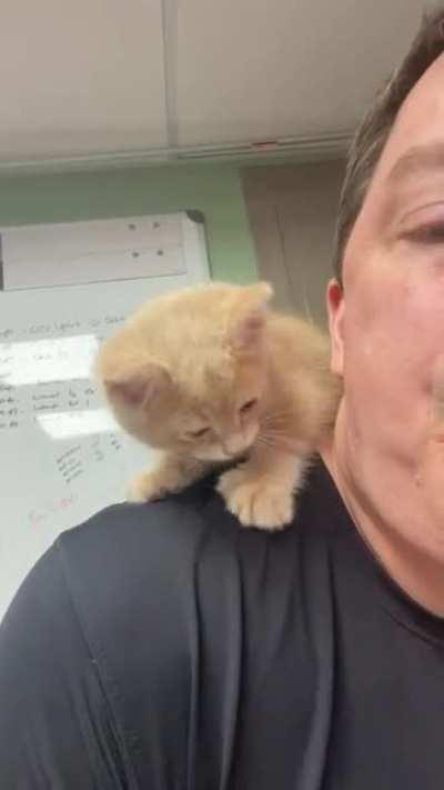 Time for my morning biscuits and acupuncture session.