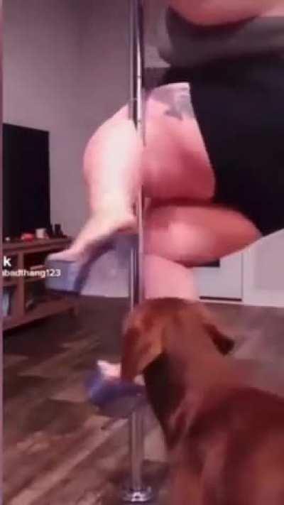 Vegans otw to cancel me !!