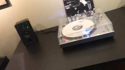 My cat vibing to Carti 😂