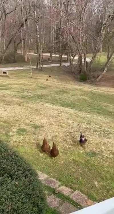 I was told to post this here 😆