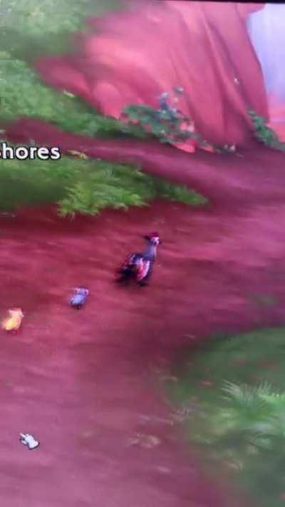 Cute feathery little bastards