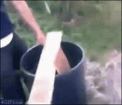 Picking a fight with plank of wood