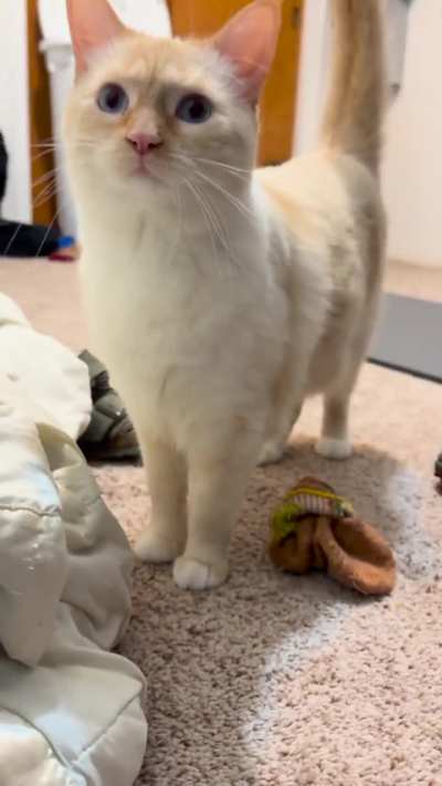 A cute small scream. 