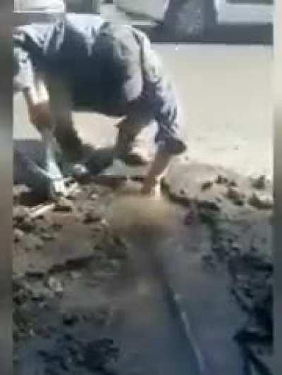 ESTILOZAP - Video #9450