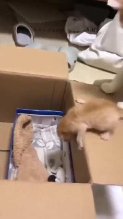 Mumma's intrusive thoughts won out.