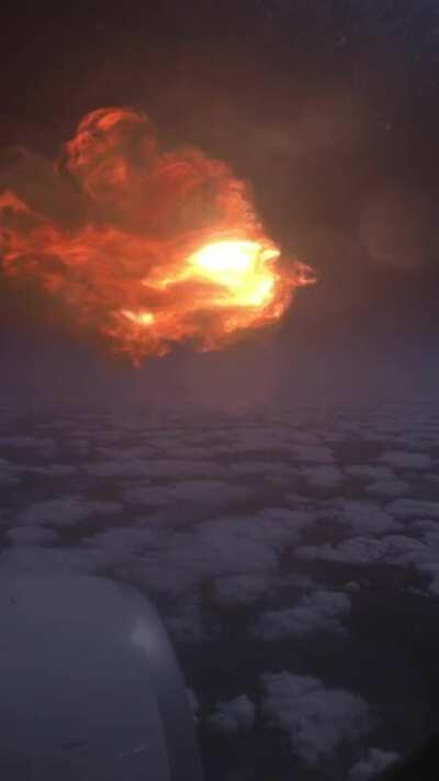 Spotted a Phoenix [OC]