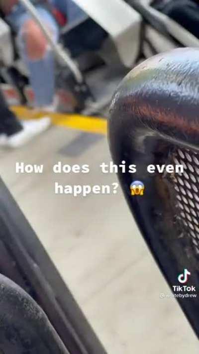 Roller coaster, favorite ride