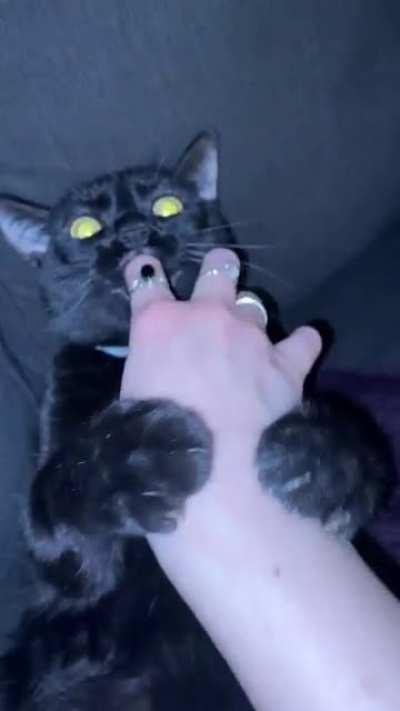 Wade has mommy issues