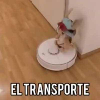 El transporte