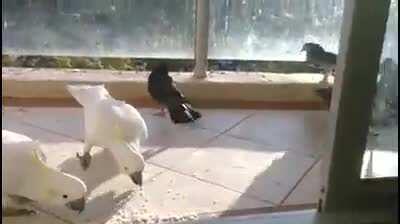 Excuse me, you need to move!